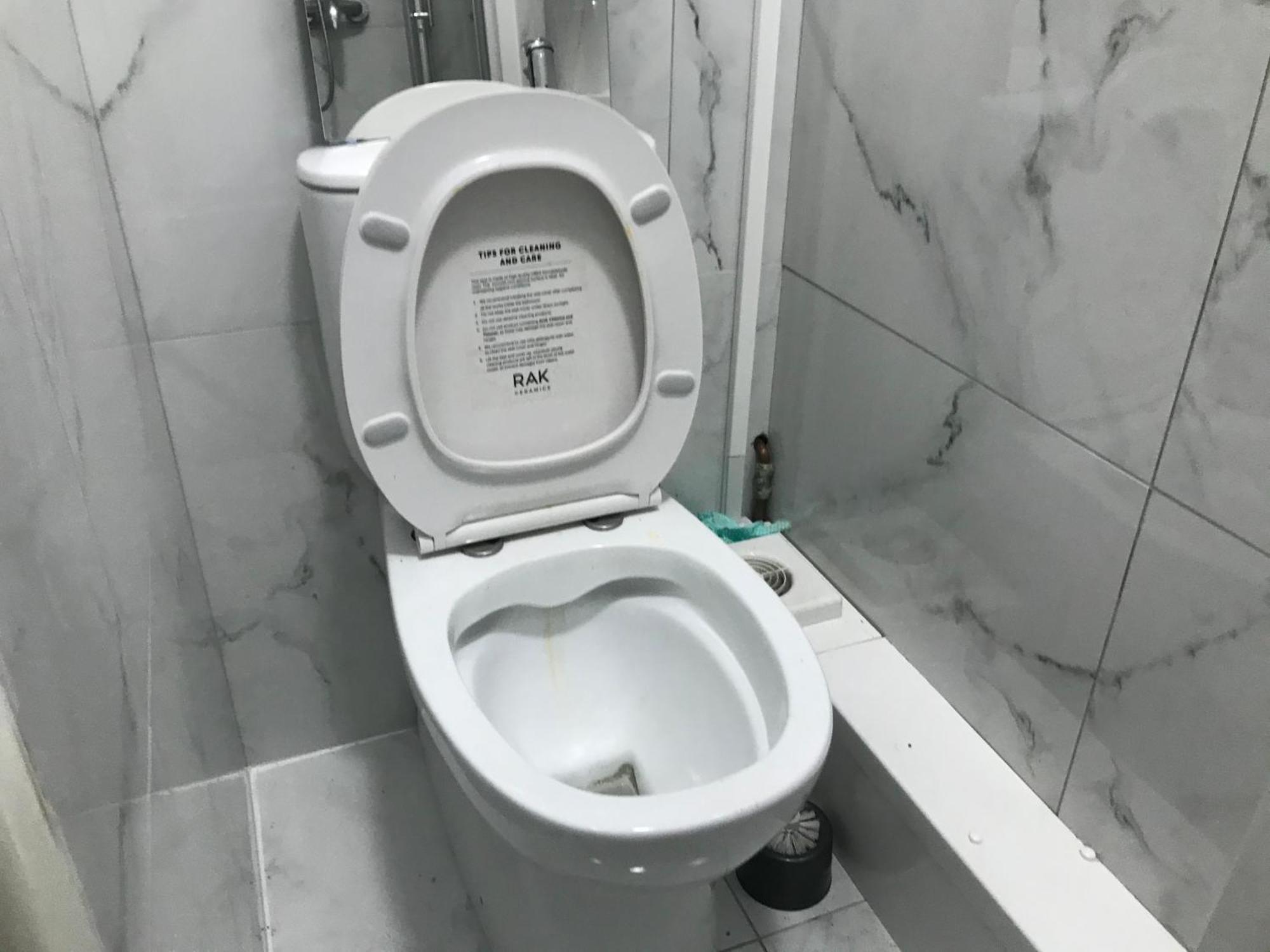 Ensuite With Kitchen Ext Large With Balcony In Zone 2 Appartement